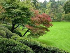 149 PARC ORIENTAL DE MAULEVIER MAINE ET LOIRE 2016 N3_000027